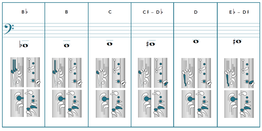 Bassoon Key Chart